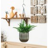 Melphoe 2 Pack Self Watering Hanging Planters Indoor Flower Pots,