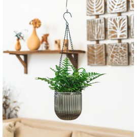 Melphoe 2 Pack Self Watering Hanging Planters Indoor Flower Pots, 5.3 Inch Outdoor Hanging Basket, Plant Hanger with 3Hooks Drainage Holes for Garden Home (Gray)