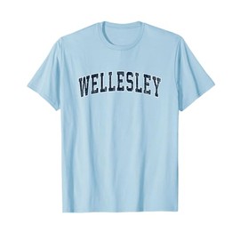 Wellesley Massachusetts MA Vintage Sports Design Navy Design T-Shirt