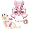 UETZLTB Cute Dog Harness and Leash Set with Bow Tie