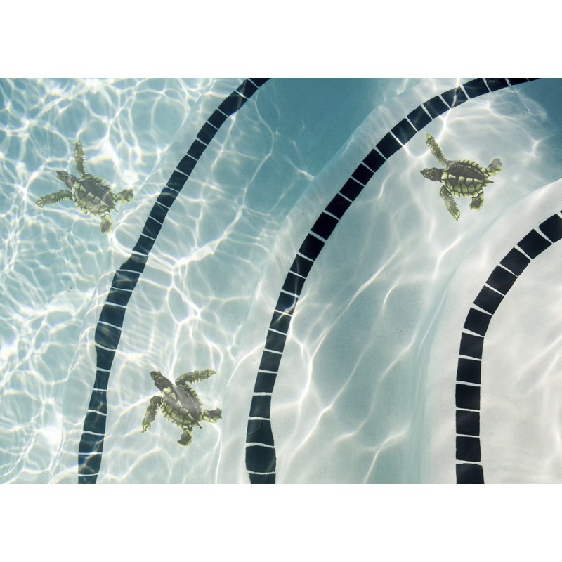 Baby Turtle Porcelain (Style B) Swimming Pool Mosaic (Style B