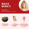 InnoNature Organic Red Maca Extract Capsules | Red Maca Made