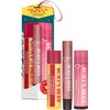 Burt's Bees Mistletoe Kiss Pink, Pomegrante, Peony, Hibiscus Lip Balm