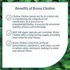BRONX Choline Bitartrate 410mg Per Serving 300 Vegan Capsules |