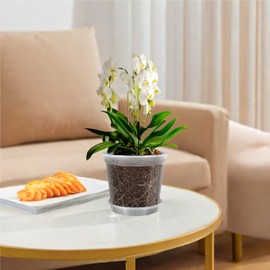 AONYIYI Transparent Orchid Pots, Pack of 10 10.16 cm Orchid Pots with Holes and Saucers Orchids for Indoor Outdoor Balcony Desk