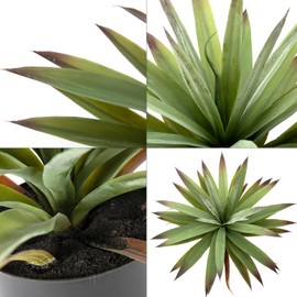 20” Tall Artificial Agave Corn Plant in Pot Lifelike Faux Bonsai for Home Decor (Green, Indoor)