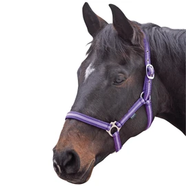Shires Wessex Nylon Headcollar -Purple/Lilac Foal