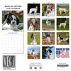 2025 English Setter Calendar - Dog Breed Wall Calendar -
