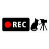 Dash Cam Sticker "Cat and Video Camera" Banner Type (For