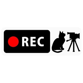 Dash Cam Sticker "Cat and Video Camera" Banner Type (For Narrow Rear SUV Sport Wagon) (Removable Sticker) (2" x 5.8") b15r