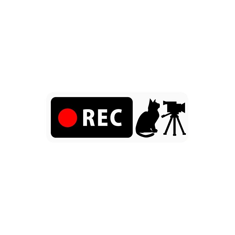 Dash Cam Sticker "Cat and Video Camera" Banner Type (For