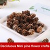 100PCS Christmas Pine Cones Natural Pine Cones 2-3cm Rustic Pine