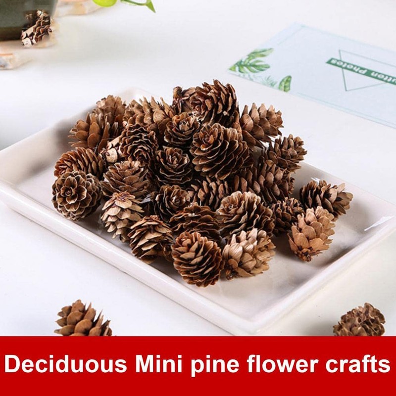 100PCS Christmas Pine Cones Natural Pine Cones 2-3cm Rustic Pine