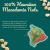 Hamakua Macadamia Nuts - Lightly Salted - Hawaiian Grown Dry