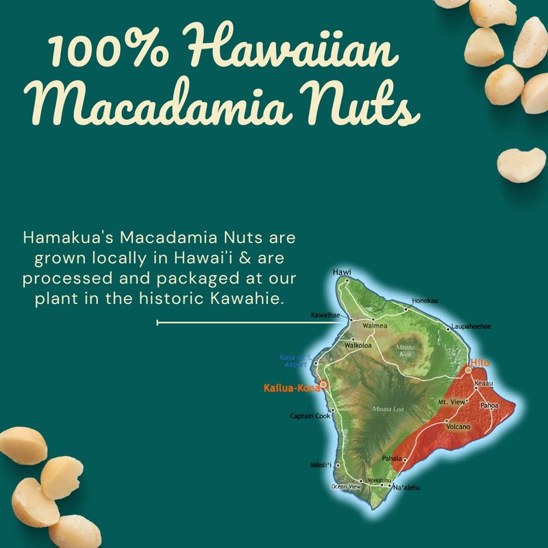 Hamakua Macadamia Nuts - Lightly Salted - Hawaiian Grown Dry