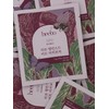 Heebo Balanced Beat Taheebo Tea 1 box (1.5g / 히보