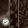 Garnier Nutrisse Tinte para el cabello, 30 café Oscuro (Sweet