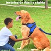 Jasonwell Collar para Perro - Pequeño Mediano Grande Pechera para