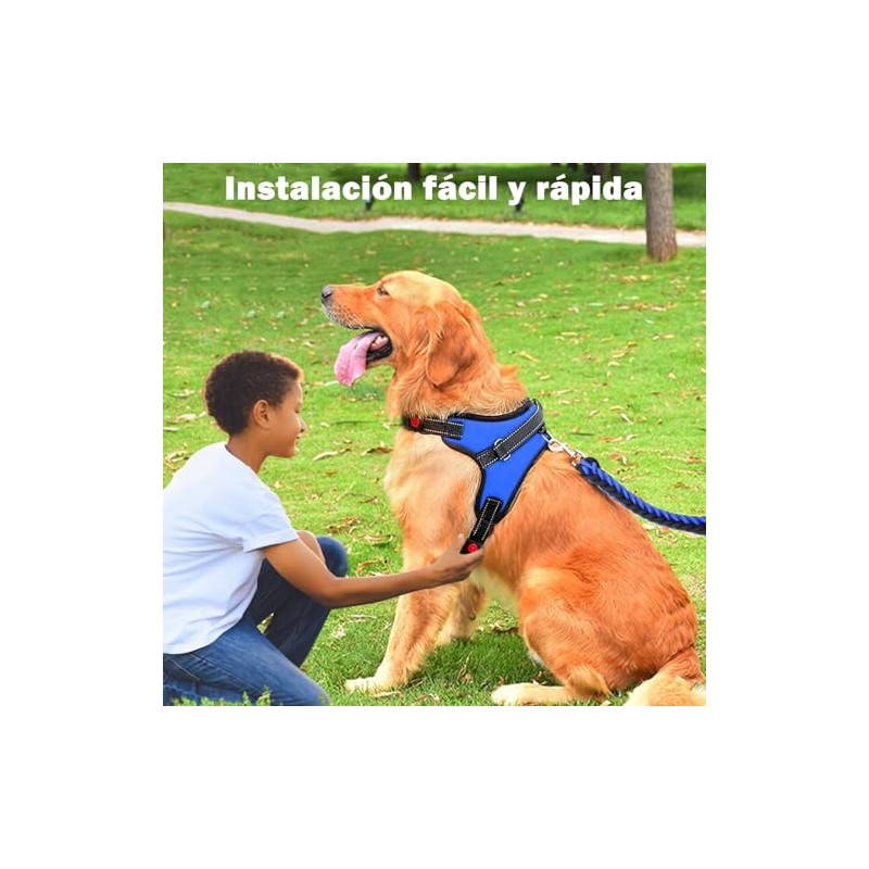 Jasonwell Collar para Perro - Pequeño Mediano Grande Pechera para