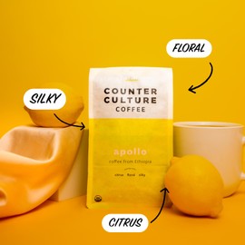 Counter Culture - Roast Packs (2 Bags, Light Roast)