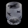 Dartington Crystal Aspect Tumbler - Spitfire