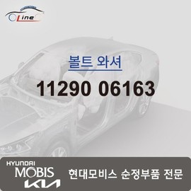 Hyundai Mobis Bolt Washer 11290 06163 / 볼트 와셔 11290 06163