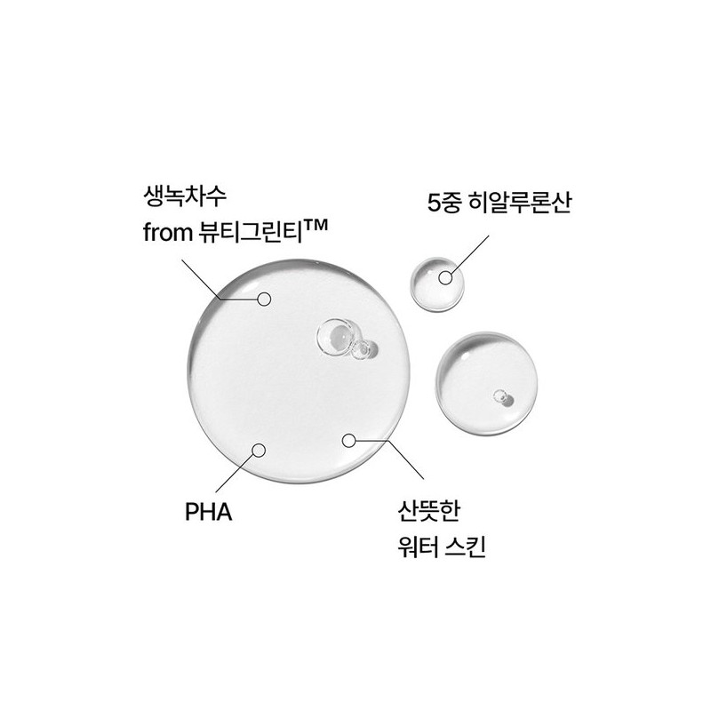 Innisfree Green Tea Hyaluronic Acid Skin 170mL / 이니스프리 그린티