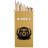 Azeeda 12 x 'Marmoset Monkey' Long 178mm Coloured Pencils/Pencil Set