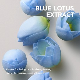 KERASILK Multi-Purpose Hairspray | Creates Long-Lasting Touchable Hold | Finishes & Locks in Hairstyles | Quick Drying | With Heat Protection & Humidity Protection | 300ml