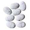 Lovionus89 White Howlite Turquoise Worry Stones, Natural Oval Palm Tree