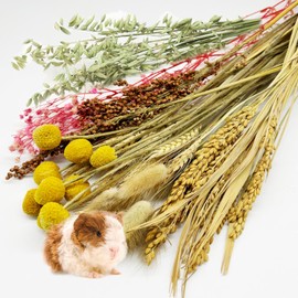 Natural Hamster Bedding Edible Flowers Herbs Sprays for Edible Grain Habitat Enclosure Decor Hamster Chews for Dwarf Syrian Gerbils Mice Mouse Rat Forage