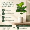 Artificial Ficus Tree Branch, 27.55 in Fake Green Plant Decor