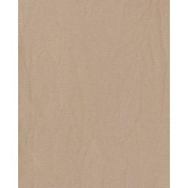 TupTam Girls' Microfibre Tights 40 Denier Pack of 2 Tights Set, beige