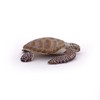 Papo 56005 "Loggerhead Turle" Figure