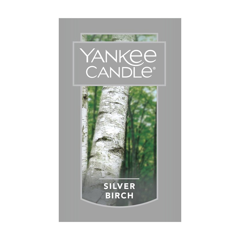 Yankee Candle Large Jar Candle, Silver Birch