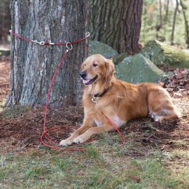 MPP Snap Around 2 Piece Dog Tree Tie Out Tether Cable Secure System Hold Up To 60lbs
