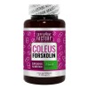 Coleus Forskolina 500 Mg, 60 Cápsulas