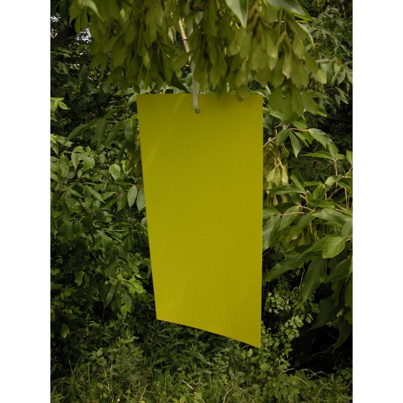 10 Pack 6"x 12" Yellow Sticky Traps for White Flies,