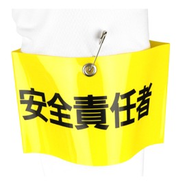 Toyo Armbands "Safe The" Safety Pins, No. (A Little Bit Of... 65 – F03