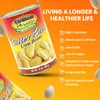 Caribbean Paradise Butter Beans, Canned Lima Beans 14 Oz (Pack