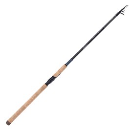 SHIMANO Telescopic cane Catana FX 10-30 g