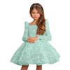 Champagne Long Flower Girl Dress for Wedding Puffy Layers 2024