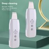 Facial Skin Scrubber Skin Lifting Firming Whitening Cleaning Exfoliator Blackhead