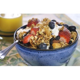 True North Granola – Granola Blues with Dried Blueberries, Almonds, Cashews and Coconut, All Natural and Non-GMO, Bulk Bag, 3 lb.