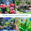 Pawfly Aquarium Air Stone 2 Inch Bread, Fish Tank Air