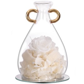 Hoomna Aquarius Rose Gift Save Flowers Birthday Gifts for Women,Mothers Birthday,Valentine's Day,Mothers Day, Thanksgiving, Eternal Rose Gift for Sister,Teacher, Mom, Grandma, Wife, Girlfriend.