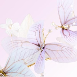 Leadigol 2PCS Dragonfly Headbands for Women, Hair Hoop Hair Band, Transparent Dragonfly Hair Hoop, Bridal Wedding Headband, Girls Women Head Ornaments Elegant Headdress Gift