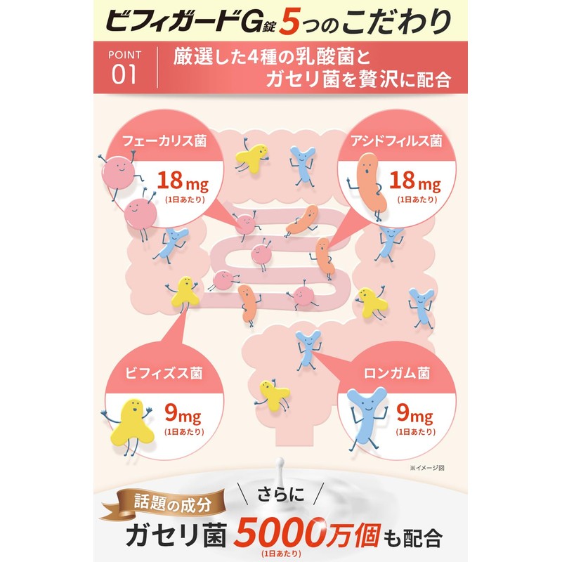 4種の 乳酸菌 酪酸菌 配合 ビフィガード G錠/ガセリ菌 ビフィズス菌 ロンガム菌 フェーカリス菌 アシドフィルス菌