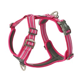 DOG Copenhagen Comfort Walk Air 3.0 Dog Harness - Harness for Dogs - Puppy Harness, Wild Rose, L