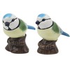 Lesser & Pavey Salt & Pepper Set for All Types